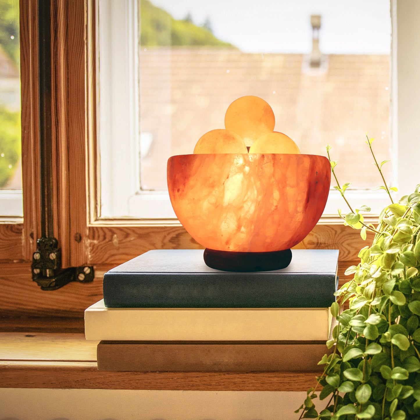 Natural Himalayan Rock Sea Salt Lamp Bowl